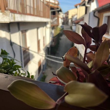 شقة La Golondrina كانديليدا المظهر الخارجي الصورة